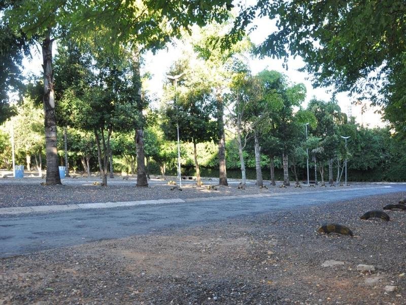 Foto SOL DAS CALDAS
